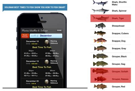 Top 10 Fishing Apps Every Angler Needs in 2025 .